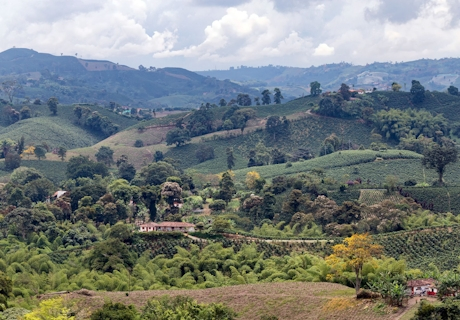 Hacienda en Valle del Cauca
