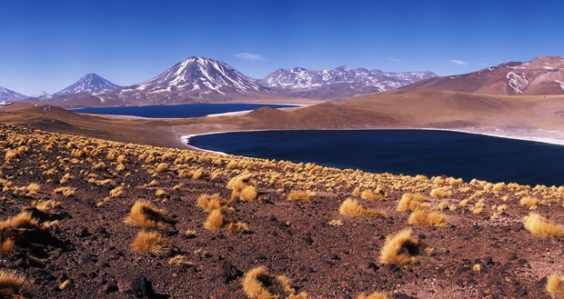 Lagoas Altiplánicas: O grande tesouro do Atacama